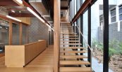 Brain & Mind Institute