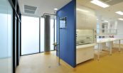 Brain & Mind Institute4